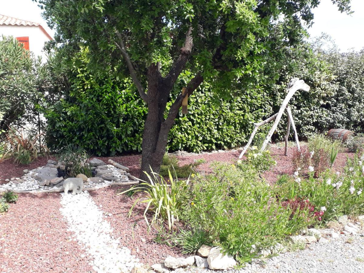 Domaine De La Clotte Bed & Breakfast Roquefort-des-Corbières Exterior photo